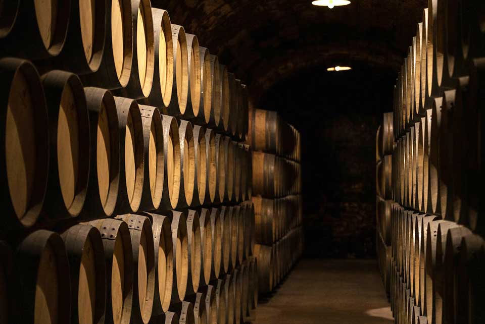 wine barrels in wine cellar